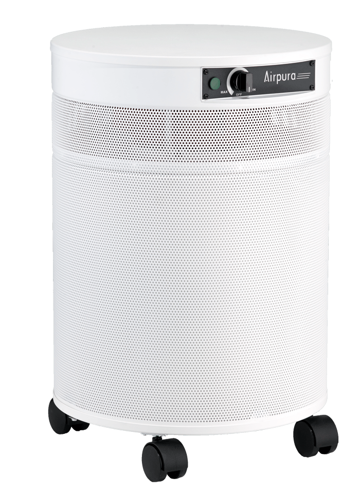 Airpura P600 Air Purifier in Solon, OH